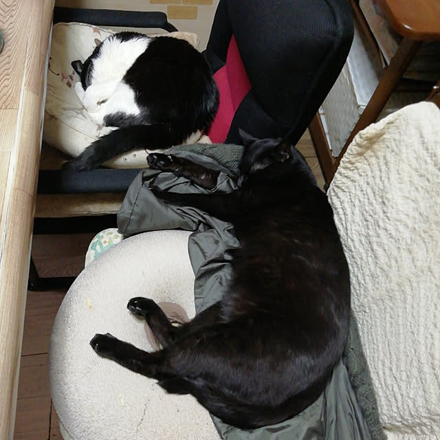 Tomopさんの実例写真