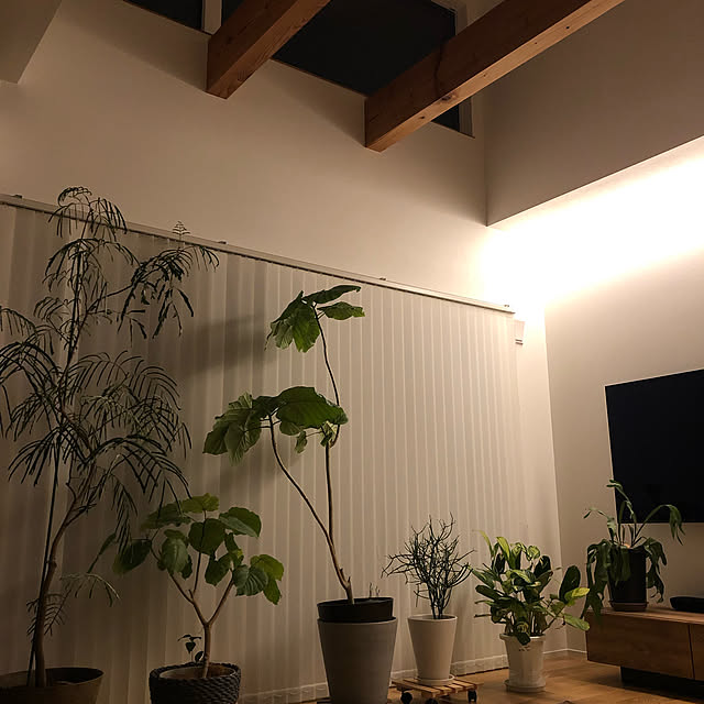poa.t_hさんの実例写真