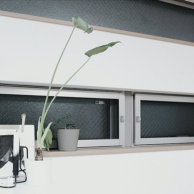 erixonさんの実例写真