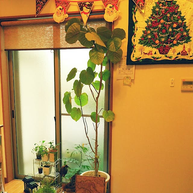 akr29さんの実例写真