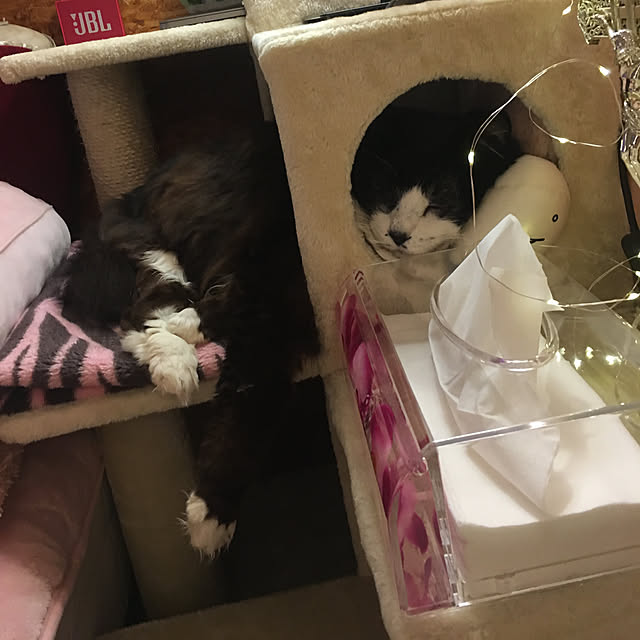 kanaさんの実例写真