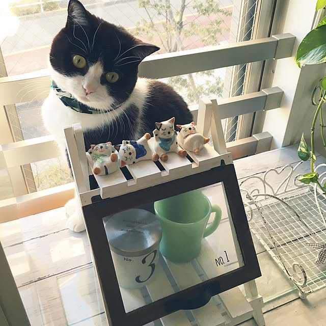 mametaroさんの実例写真