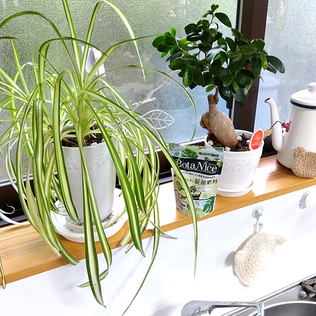 Motomeさんの部屋