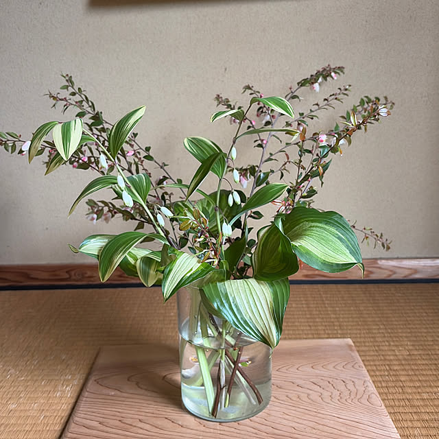 mozukuさんの実例写真