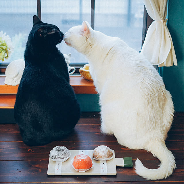 yuiiiさんの実例写真