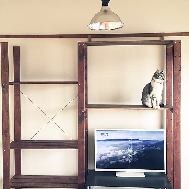棚/猫のいる暮らし/IKEAのインテリア実例 - 2016-12-04 19:00:44