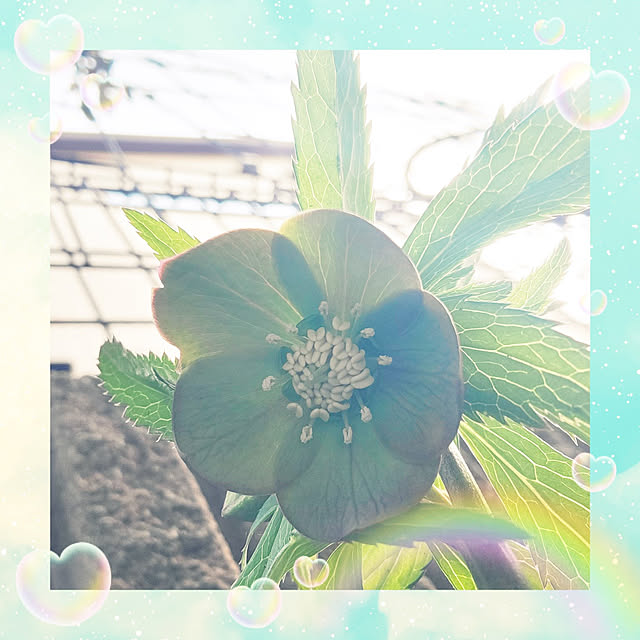 mimi828さんの実例写真