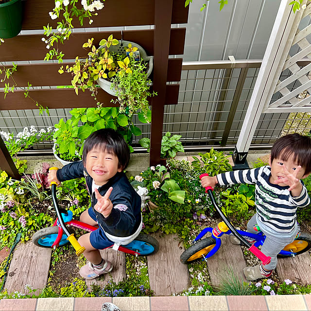hinamamaさんの部屋