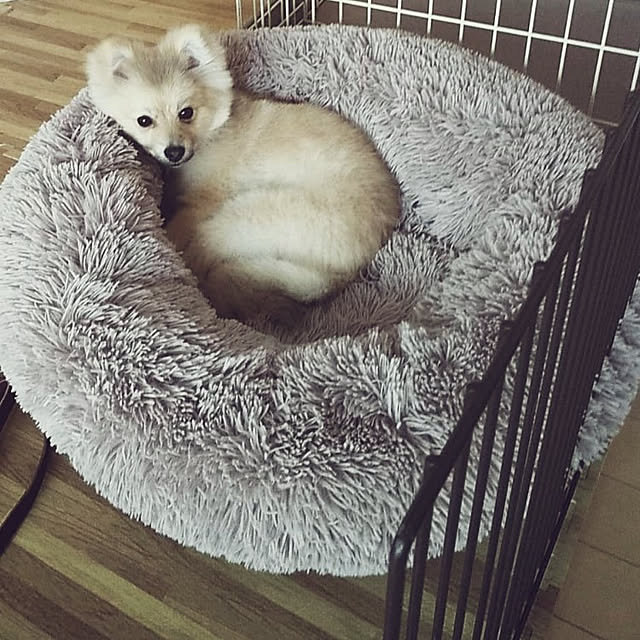 mu.hさんの実例写真