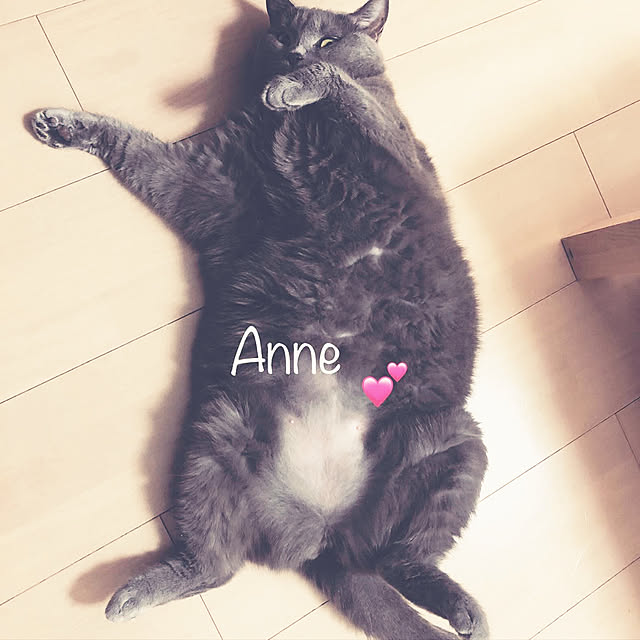 anneさんの実例写真