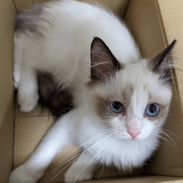 TOMさんの部屋