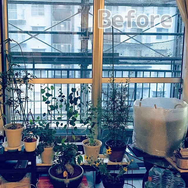 mi-saさんの部屋