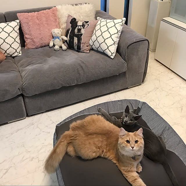 ABBYさんの実例写真