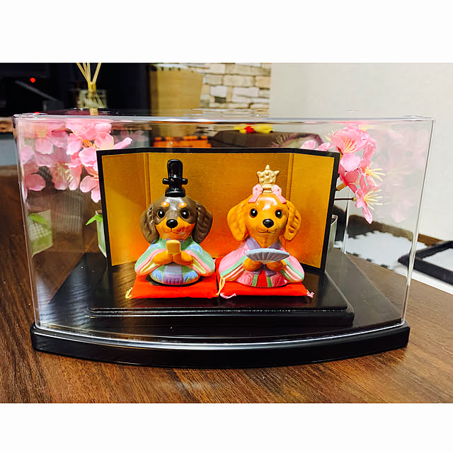 akipuさんの実例写真
