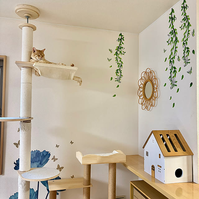 chiiさんの実例写真