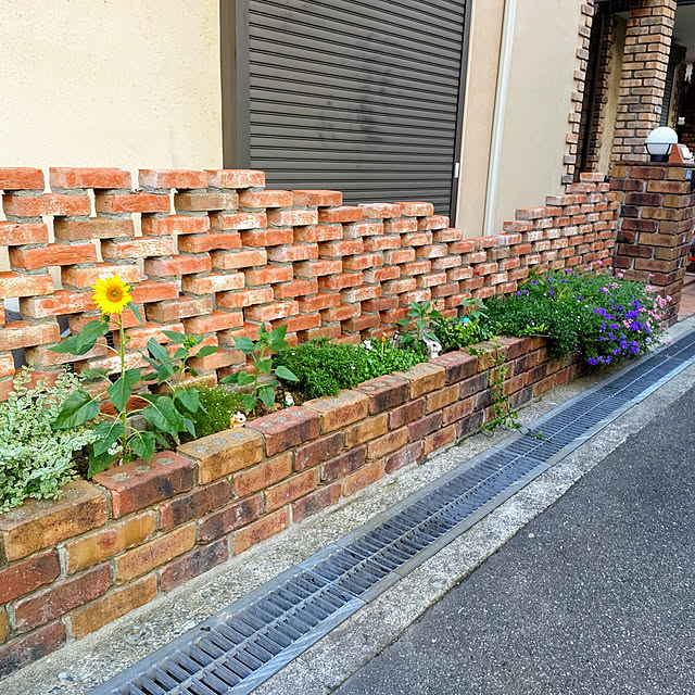 yuyuさんの実例写真