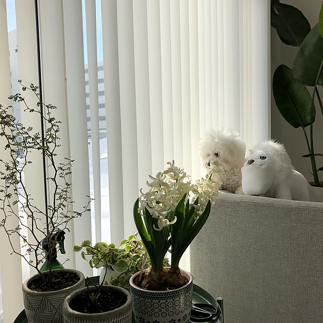 unichanさんの実例写真