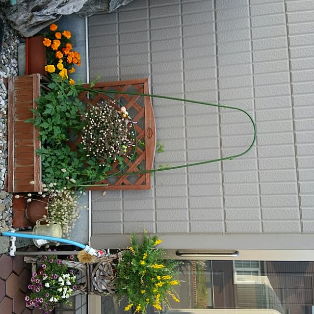 rinさんの実例写真