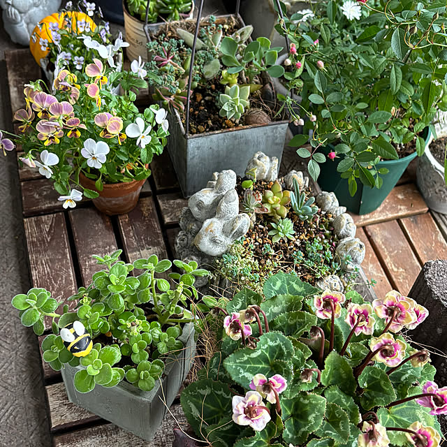 naokoさんの部屋