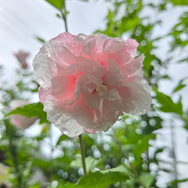 min_nimさんの部屋