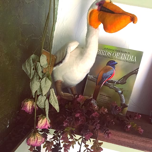 Timoさんの実例写真