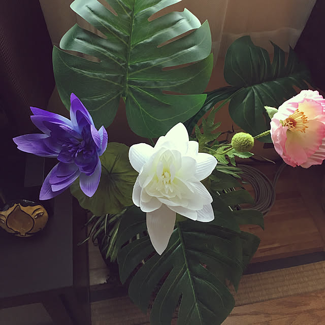 qqqさんの実例写真