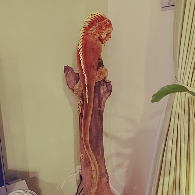 escalaさんの実例写真
