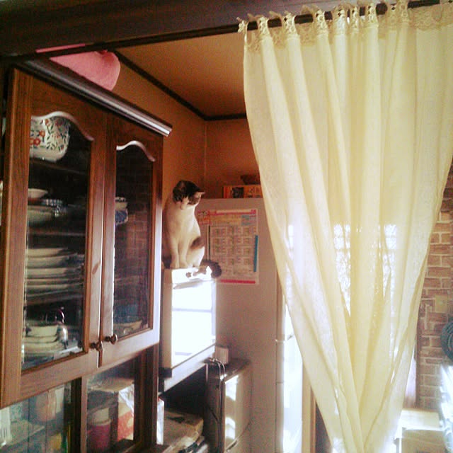 Tomopさんの実例写真