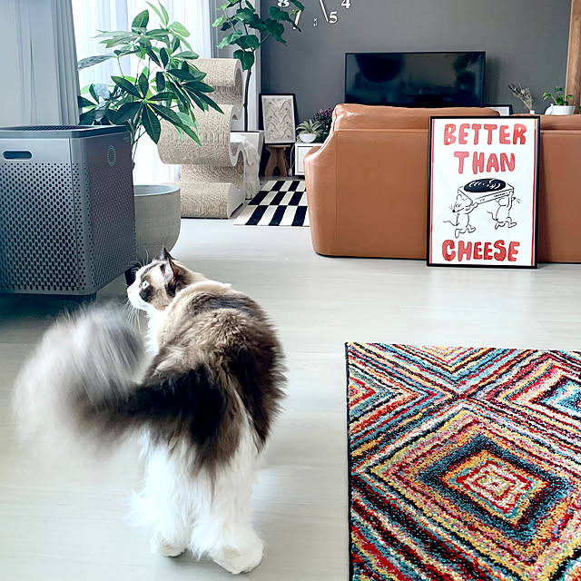 イケア STOCKHOLM ストックホルム ラグ 平織り - 通販 | 家具と イケア STOCKHOLM ストックホルム ラグ 平織り - 通販 | 家具と