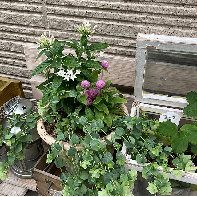 felicityさんの実例写真
