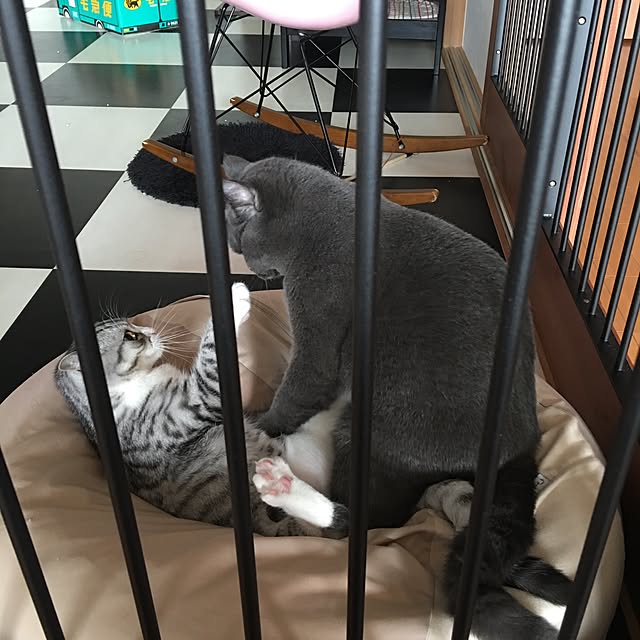 Shojiさんの実例写真