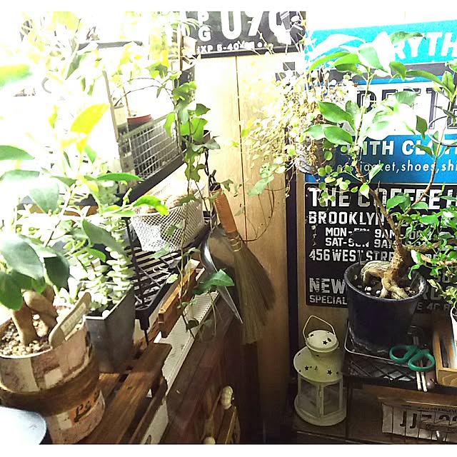 tomokaさんの実例写真