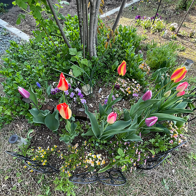 ake_h_mさんの実例写真