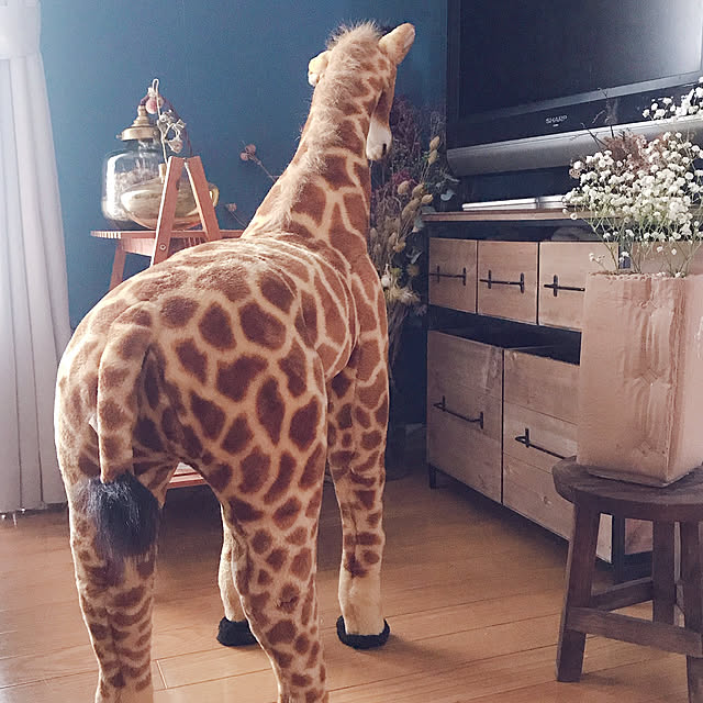 myaoさんの実例写真