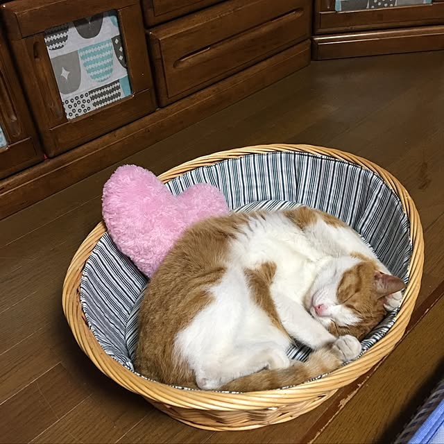 kanmiさんの実例写真