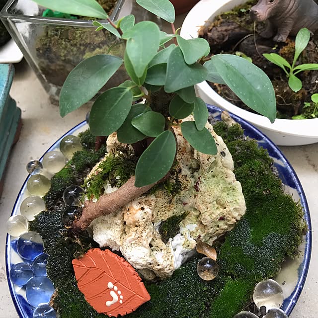 chicoKAJIさんの実例写真
