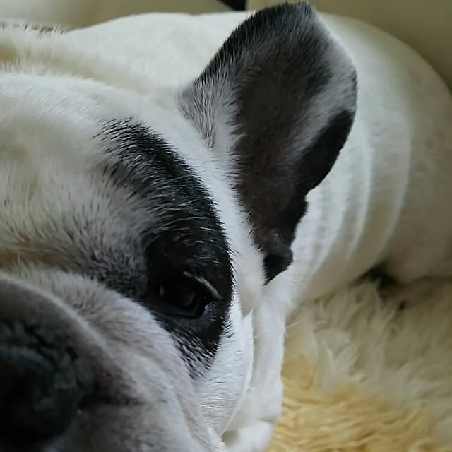 AandPさんの実例写真