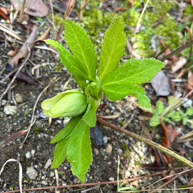ayayayayaさんの部屋