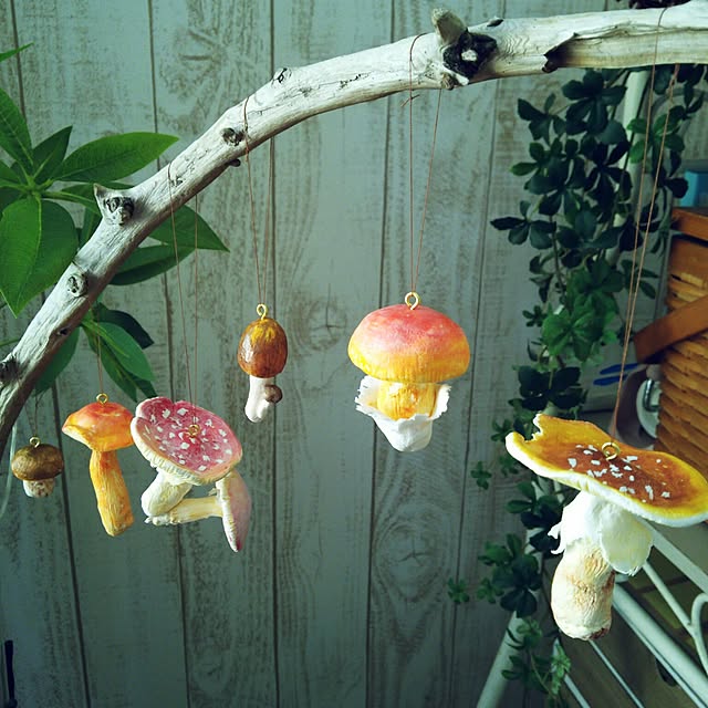 mogu0418さんの実例写真