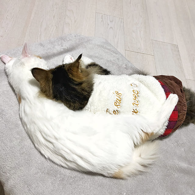 yuchiさんの実例写真