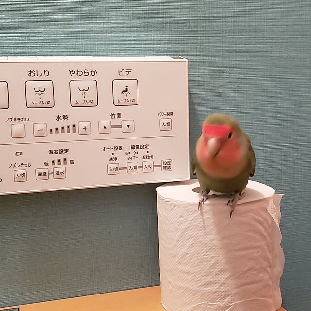 tukichanさんの実例写真
