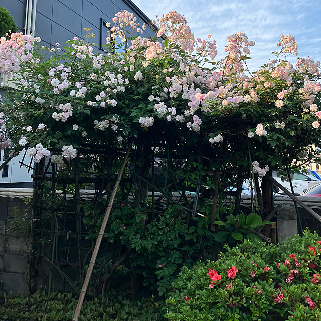 mottimoさんの部屋
