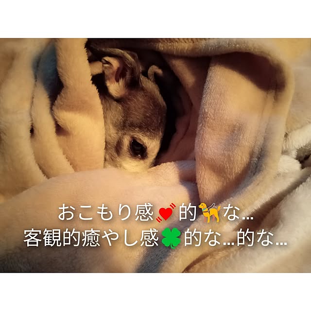 moruさんの部屋