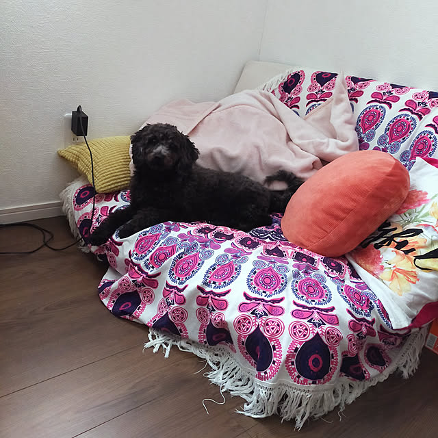 watashinoouchiさんの実例写真