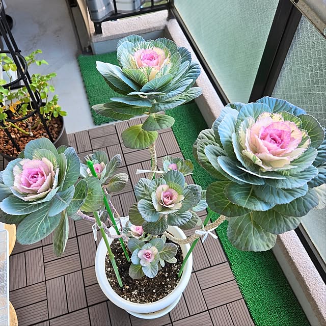 love1017さんの実例写真