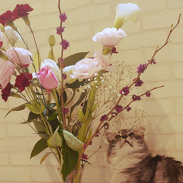 annetina374さんの実例写真
