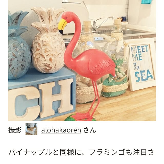alohakaorenさんの実例写真