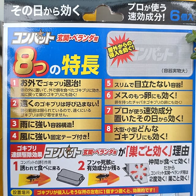 38catさんの部屋