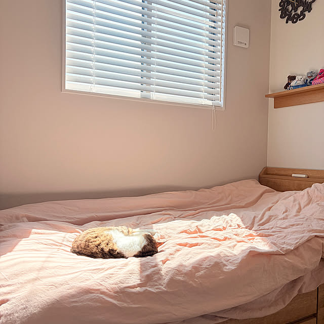 tiroさんの実例写真