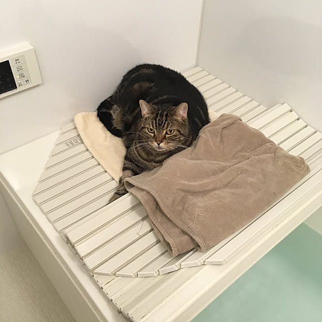mikomaruさんの実例写真